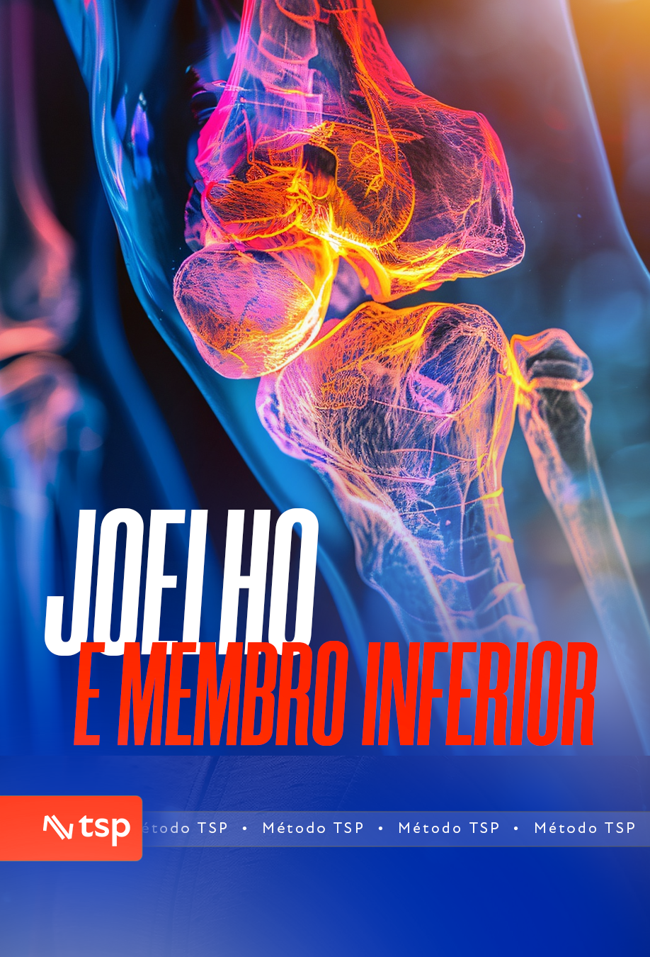 Joelho e membro inferiror